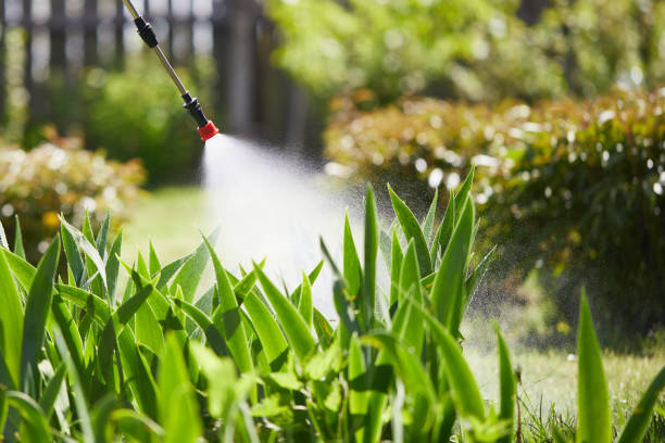 Tamper-Resistant Bait Stations for Rodents in Royal City