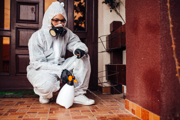 Attic and Crawl Space Rodent Treatment in Royal City